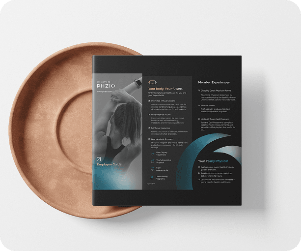 PHZIO brochure — panel A
