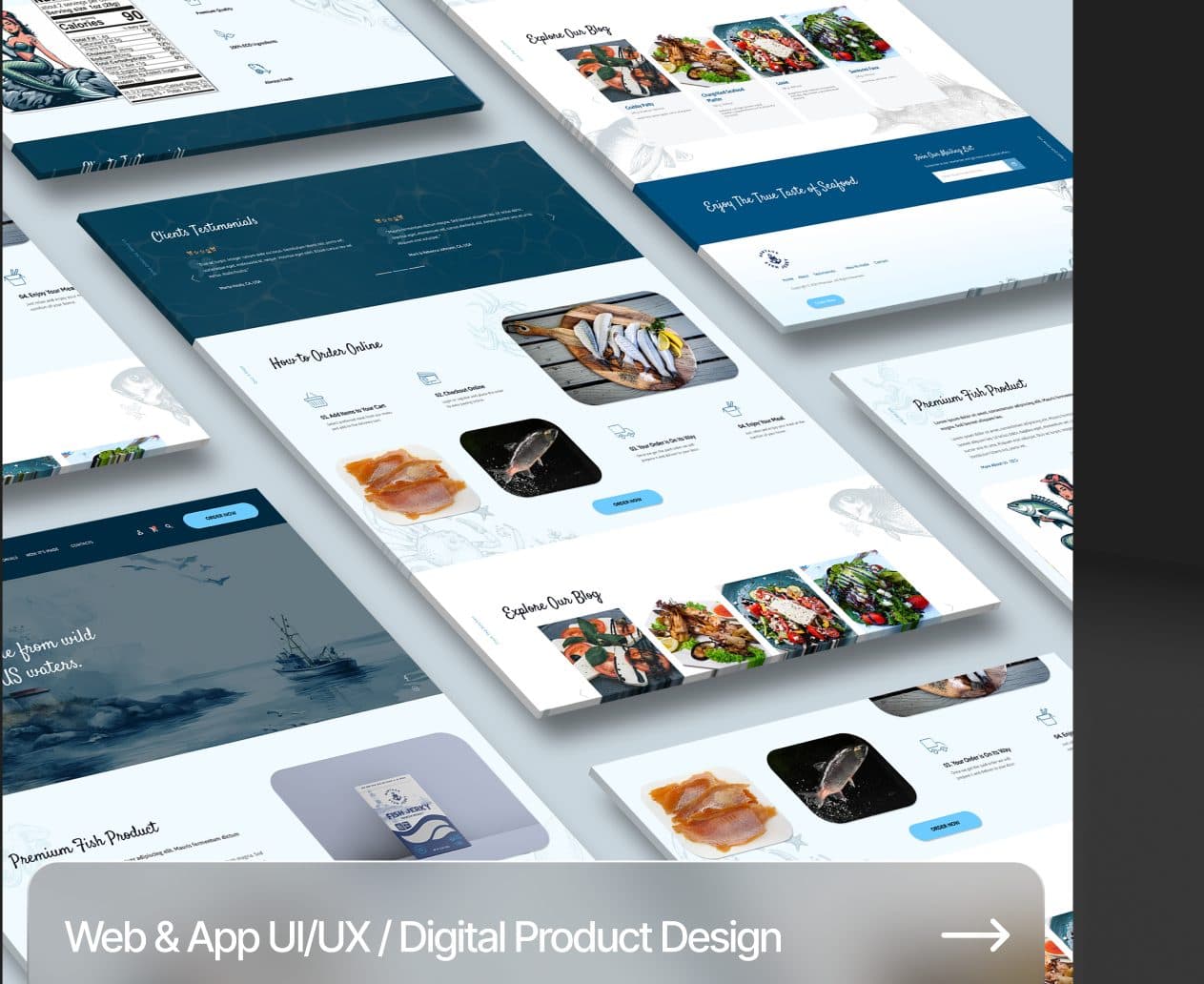 Web & App UI/UX / Digital Product Design